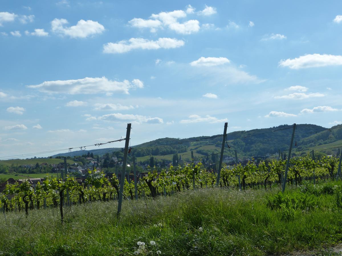 Gaestehaus Annel Niederhorbach ภายนอก รูปภาพ