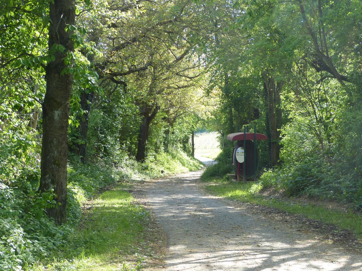 Gaestehaus Annel Niederhorbach ภายนอก รูปภาพ