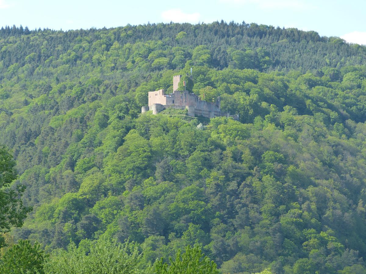 Gaestehaus Annel Niederhorbach ภายนอก รูปภาพ